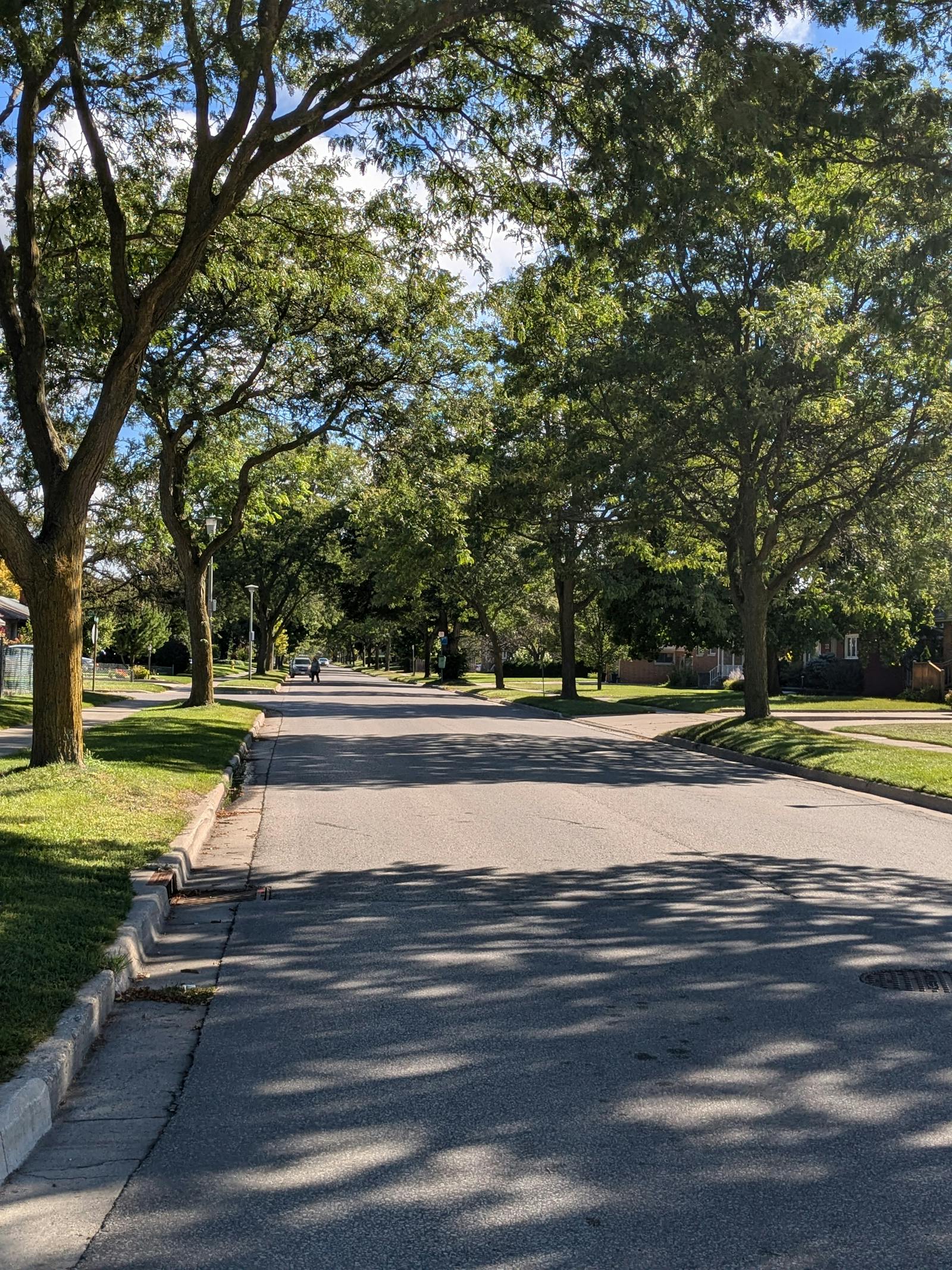 Tree-lined Bethesda Maryland residential street with mature deciduous trees